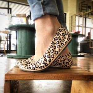 Storehouse Flats Leppy Print